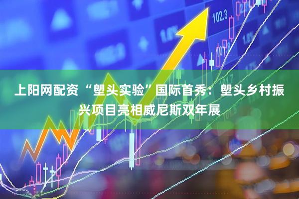 上阳网配资 “塱头实验”国际首秀：塱头乡村振兴项目亮相威尼斯双年展