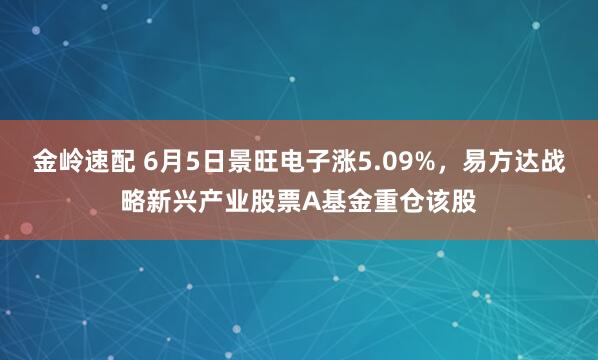 金岭速配 6月5日景旺电子涨5.09%，易方达战略新兴产业股票A基金重仓该股