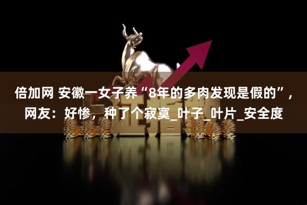 倍加网 安徽一女子养“8年的多肉发现是假的”，网友：好惨，种了个寂寞_叶子_叶片_安全度