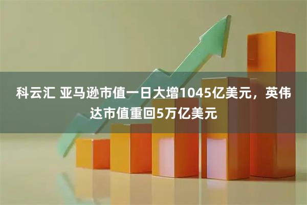 科云汇 亚马逊市值一日大增1045亿美元，英伟达市值重回5万亿美元