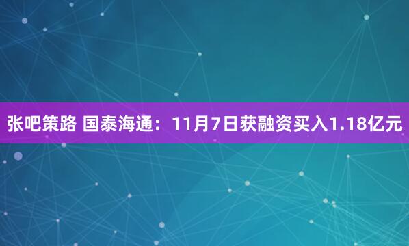 张吧策路 国泰海通：11月7日获融资买入1.18亿元
