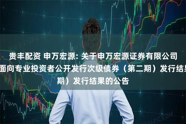 贵丰配资 申万宏源: 关于申万宏源证券有限公司2025年面向专业投资者公开发行次级债券（第二期）发行结果的公告