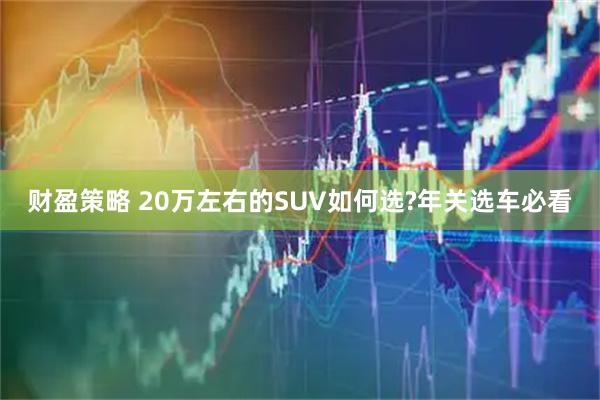 财盈策略 20万左右的SUV如何选?年关选车必看